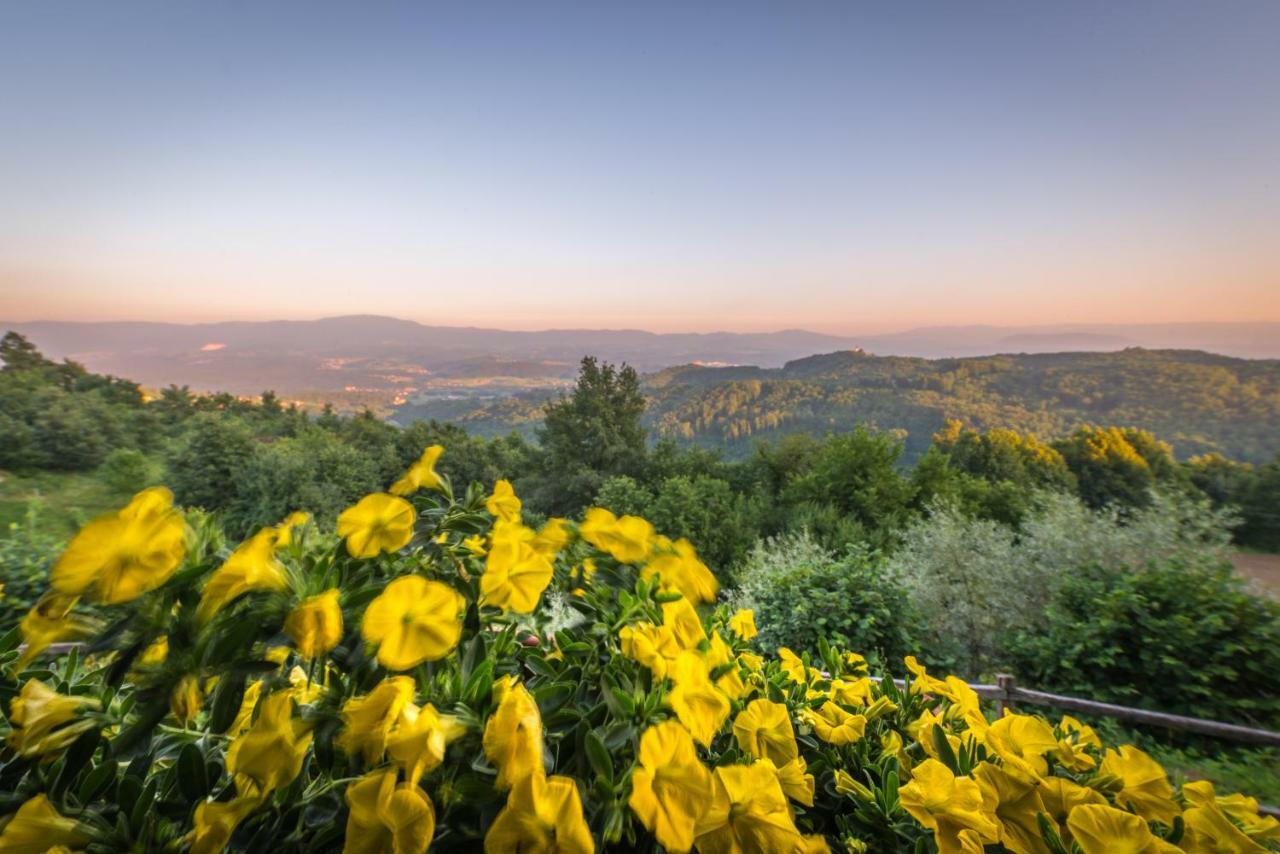 Vineyard Cottage Skatlar Оточец Экстерьер фото